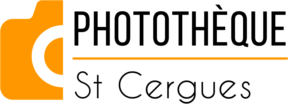 Logo du site