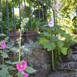 Les Vieilles Pierres de Saint Cergues 53