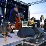 Fête de la musique 17