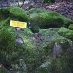 Les Vieilles Pierres de Saint Cergues 20