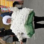 Carnaval 5