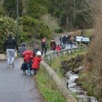 Chasse aux Oeufs 3