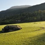 Les Vieilles Pierres de Saint Cergues 55